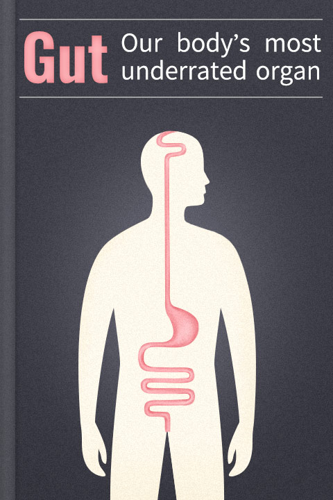 Gut