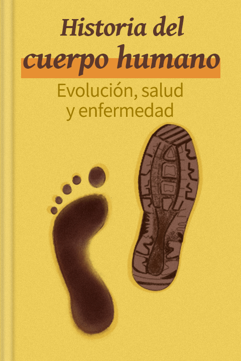 Historia del cuerpo humano