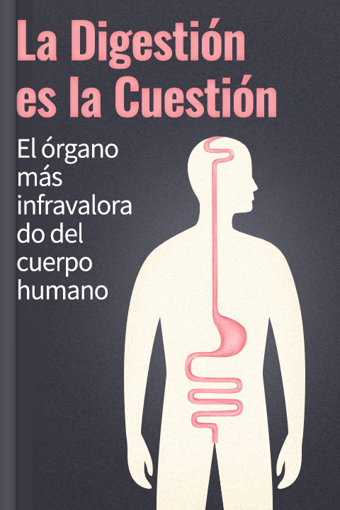 La digestión es la cuestión