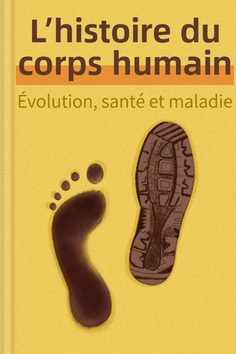 L’histoire du corps humain