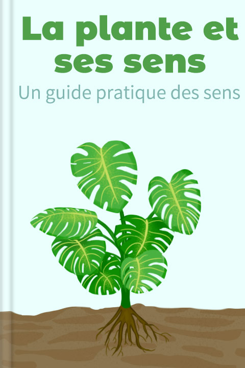 La plante et ses sens