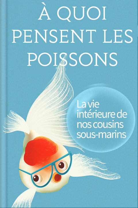 À quoi pensent les poissons