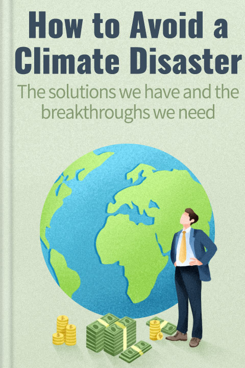 How to Avoid a Climate Disaster