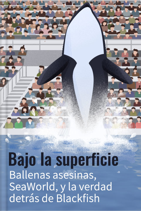 Bajo la superficie