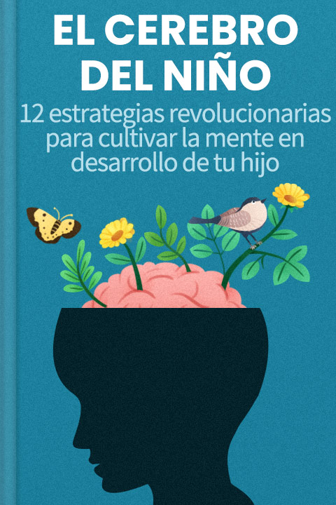 El cerebro del niño
