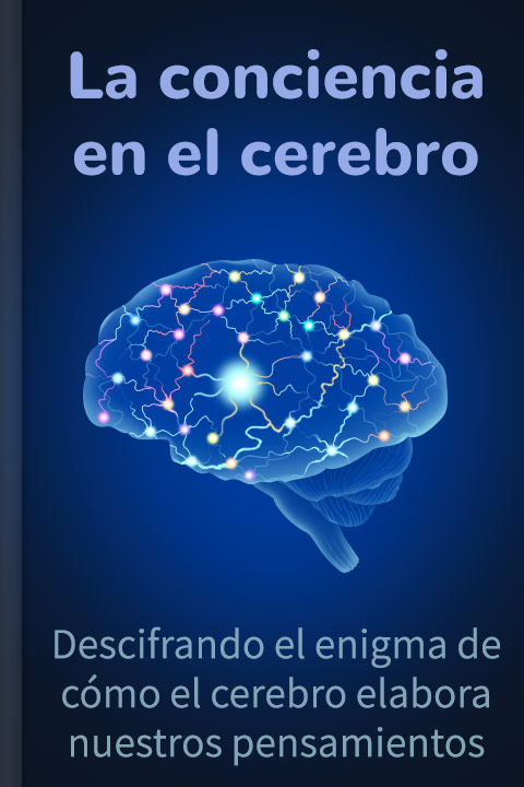 La Conciencia En El Cerebro