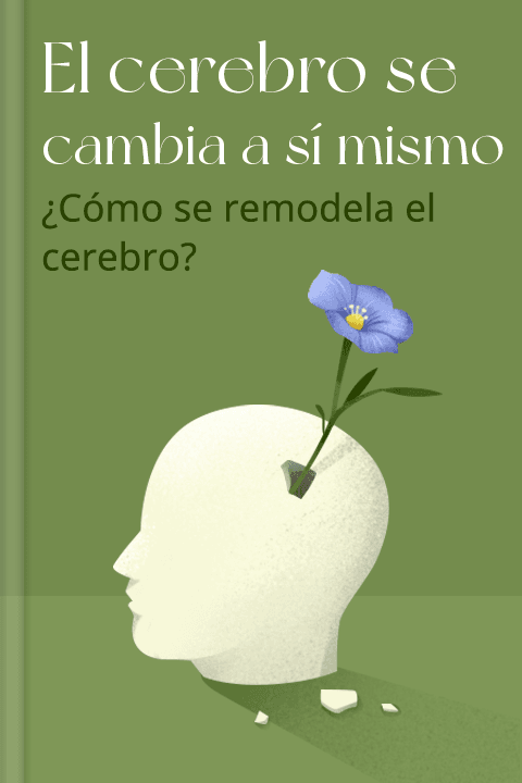El cerebro se cambia a sí mismo