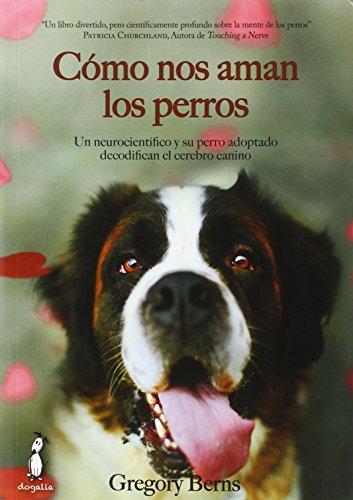 Cómo nos aman los perros